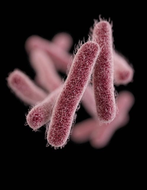 Shigella Outbreak hits Northern Nevada